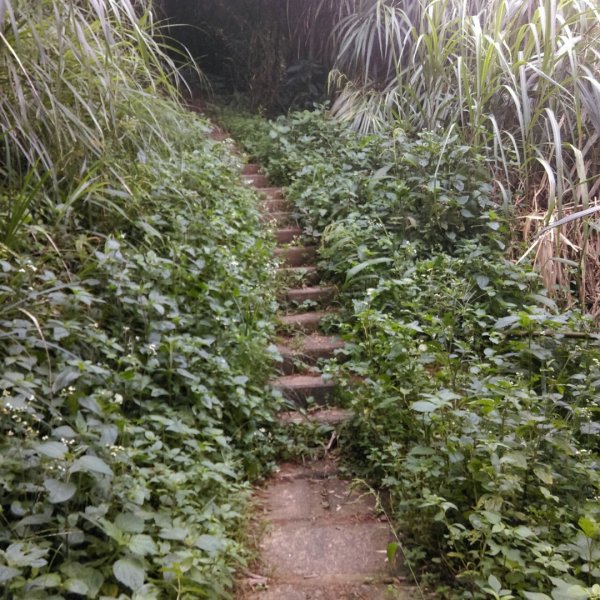 雲嘉五連峰O型環狀684868
