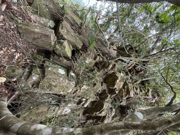 桂山路197巷 》呂奔山北峰 》呂奔山 》阿玉壩2755817