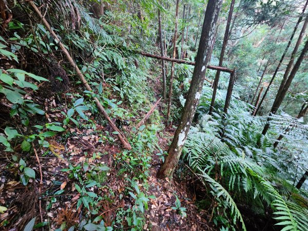 20251214石牛山柑坪山新柑坪山牛背岩2972721