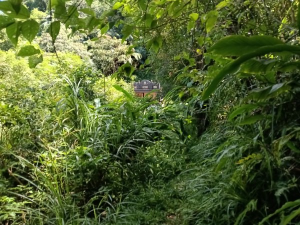 平溪區灰窯山驚險岩稜+司公碗帽山O型2897923