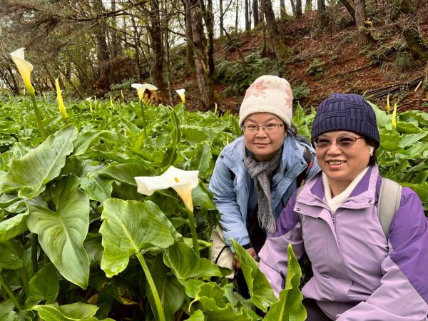 🌈12/20(六)福壽山農場~追風趣✨FB：熊熊趴爬走🌈2967286