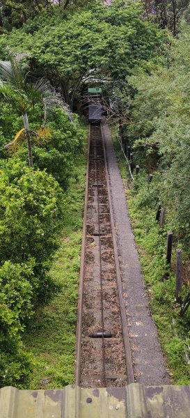 2025/05/31_烘爐地登山步道(南勢角山)2801435