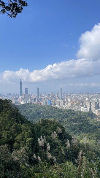 台北縱走第六段之不完整版～ 中華科技大學至和興碳坑2391238