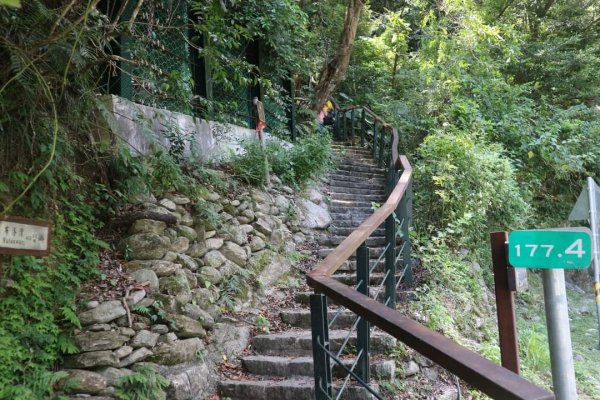 〔花蓮〕布洛灣吊橋+伊達斯步道+環流丘步道。一次走好走滿的布洛灣壯麗景觀步道2266370