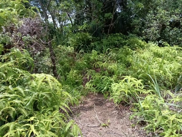 平溪區平溪子山遇雷雨O型2850139