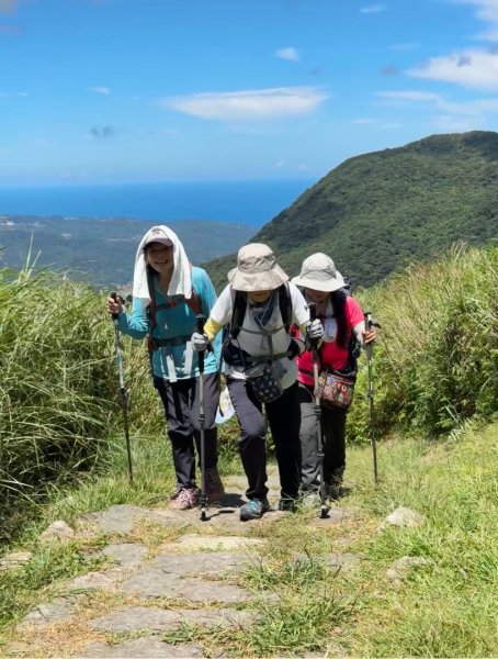 上磺溪橋走魚路古道/金包里城門/擎天崗/冷水坑2872345