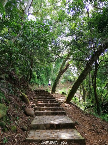 【新竹。芎林】綠蔭成徑。 小百岳集起來。編號27小百岳-中坑山x飛鳳山1443340