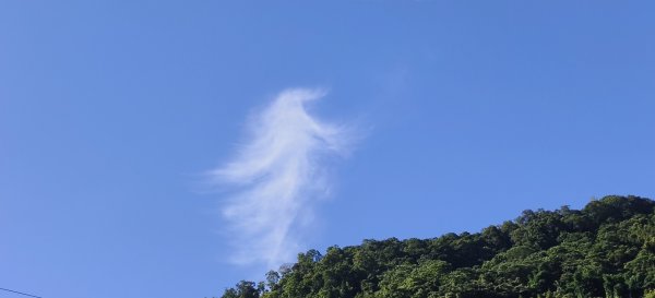 2025/06/28_馬胎+南坪古道2823752