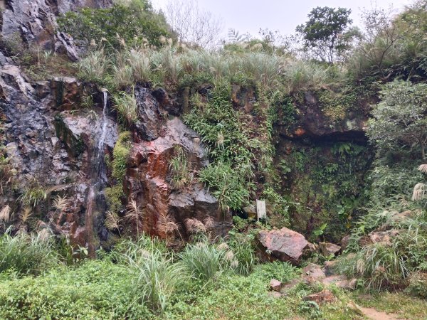 瑞芳區本山地質公園步道+草山公路+百二崁古道+樹梅坪古道O型2945515