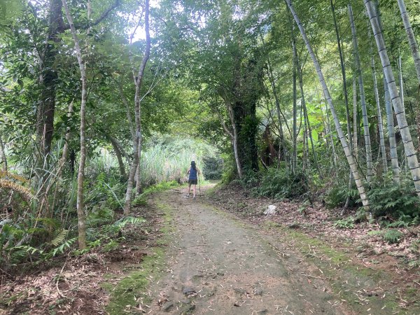 五指山橫向步道2569515