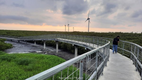 《彰化》海空七夕｜芳苑海空步道濕地紅樹林202408102569269