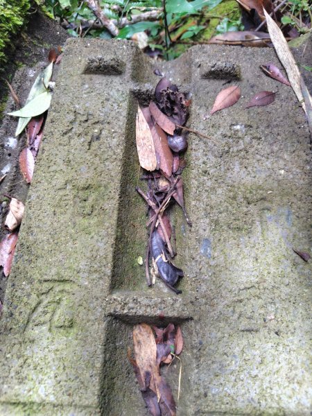 鳳鳴古道 鳳鳴山 南隘勇（南長城）古道 三湖山 八達嶺（龍骨）古道 綠色古道 延平古道2975331