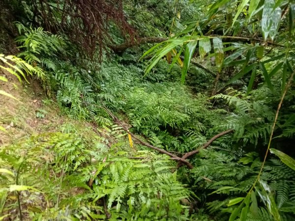 平溪區平溪子山遇雷雨O型2850163