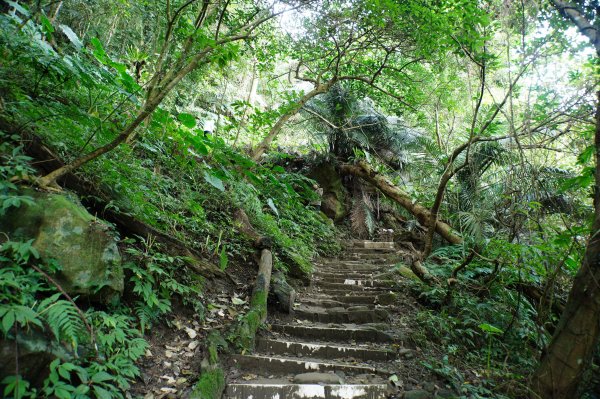 桃園 大溪 新溪洲山、溪洲山、林嵩壽山、內湳溝山、頭寮山3006202