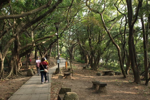 20170107台灣桃園虎頭山步道90639
