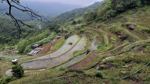 坪頂古圳步道2089594