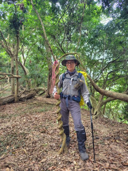 大棟山系南段 水利古道西口 上 竹高崙山 連走 鳥子嶺 坑仔內山 大崖山 下 龍目井農場2953170