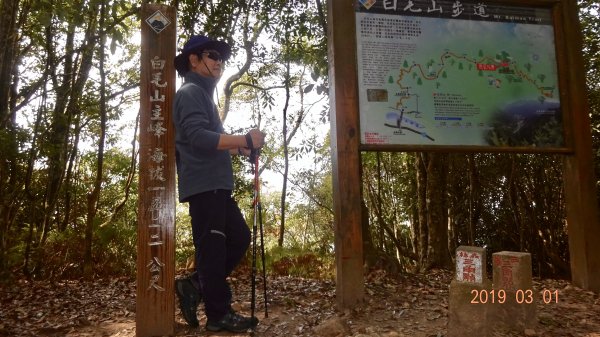 谷關七雄白毛山步道590500