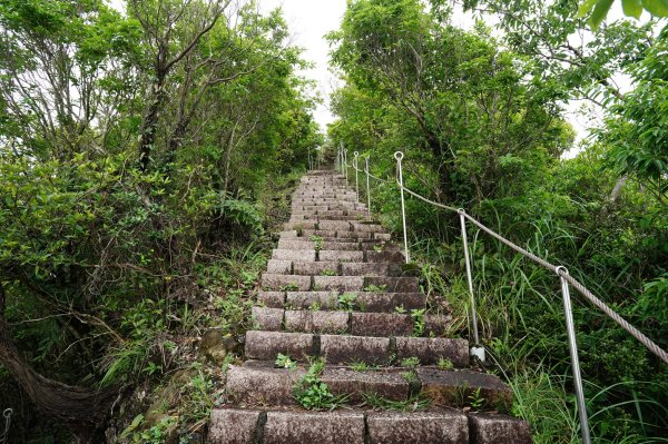 新北 平溪 薯榔尖、石筍尖、魔神仔洞2772532