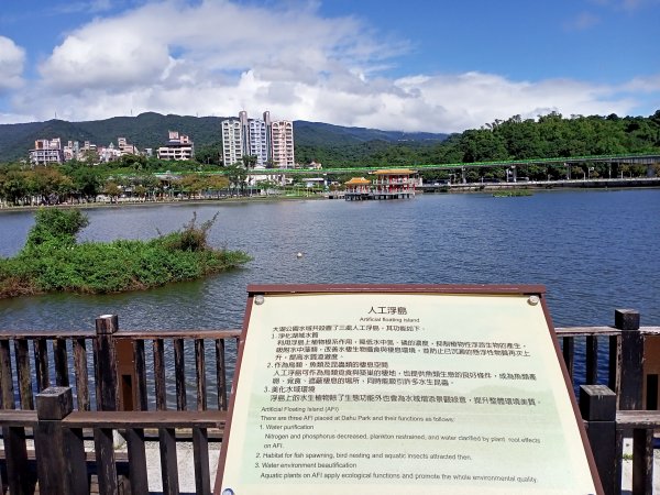 大湖公園《水光瀲灩晴方好》1906002