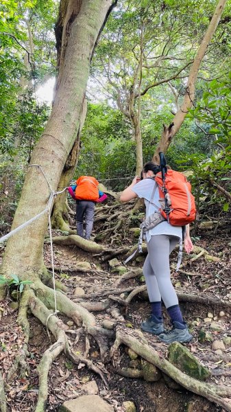 占山+小北插2863656