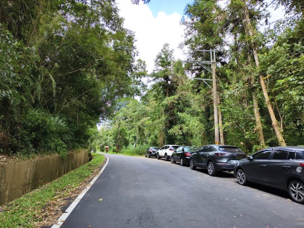 [百山百鳥尋旅-06/15] 2025_0830 貓囒山步道2875697