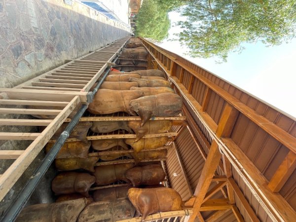 多彩塞北阿拉善.騰格里沙漠六湖穿越2920098