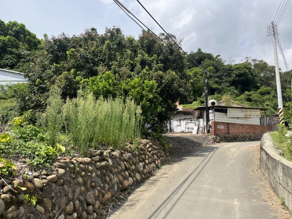 [皮皮獅探險隊-03/10] 2025_0706 犁頭山、文山步道2831457