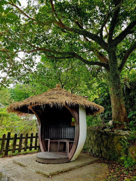 2025年臺北大縱走第七段：世界山莊至飛龍步道政大後山2757366