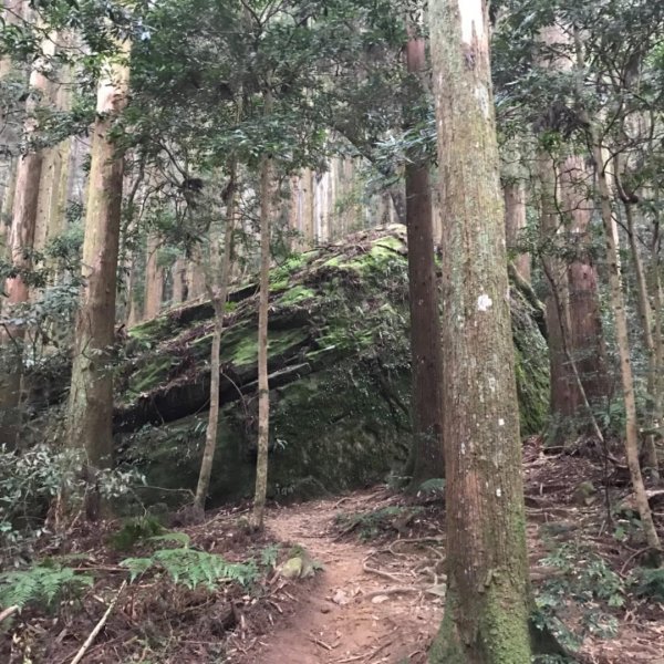 加里山鹿野線461559