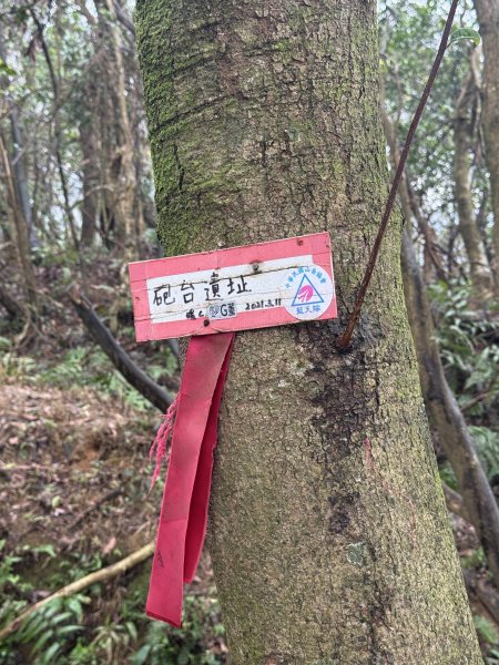 七上八下2713422