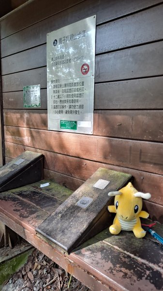 台北大縱走第一段1249142