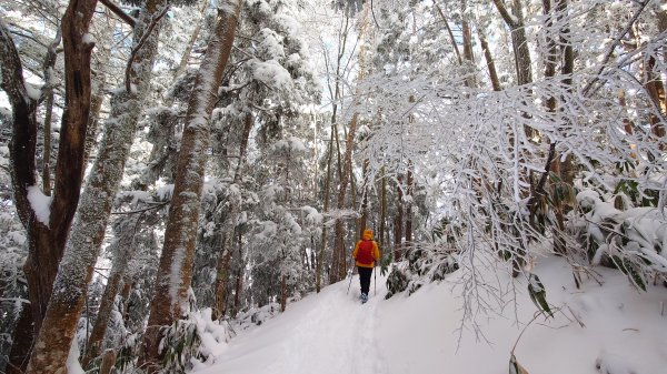 超綺麗夢幻的粉雪奇緣山行記在日本名古屋南沢山2781217