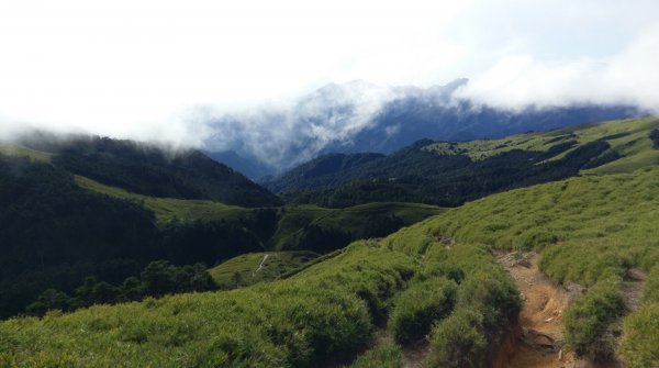 奇萊南華光被八表單攻692098