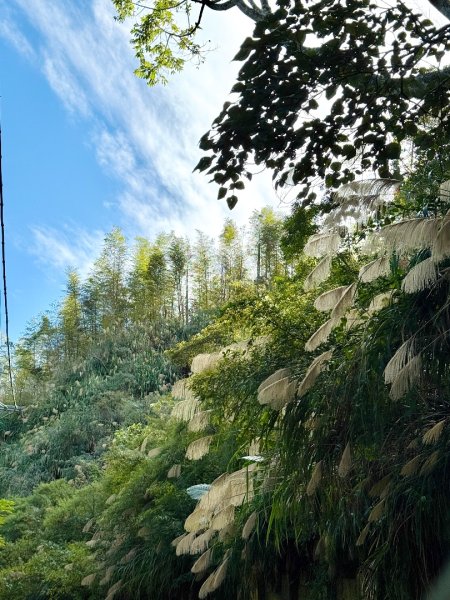 集集大山(小百岳#50）野店吃小吃2972022