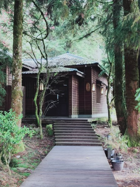 太平山檜木原始林步道1293017