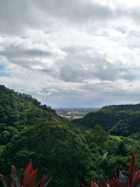 聖母登山步道1788463