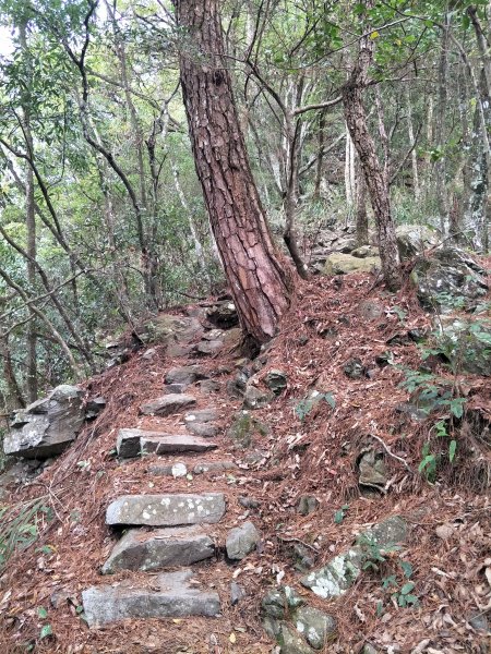 谷關七雄：馬崙山1530432