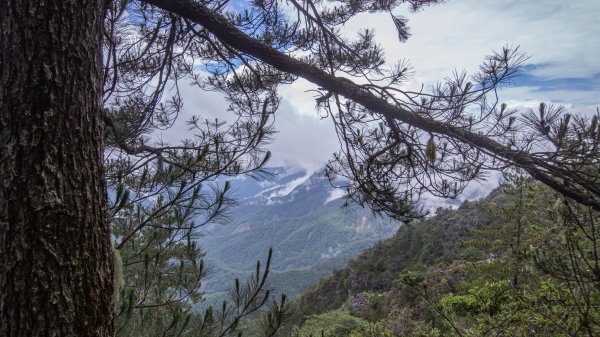 玉山前峰-翻越石瀑的第五座百岳之旅。2254874