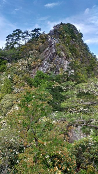 鳶嘴山 2019/05/05580966