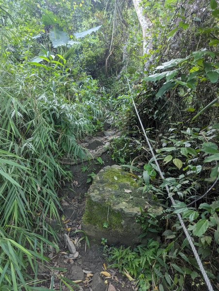 陡峭難行的三腳南山(小百岳#65)。無敵視野的太師椅及曾文水庫1844121