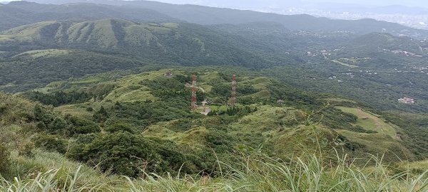 20230729_七星山主峰東峰步道2234444