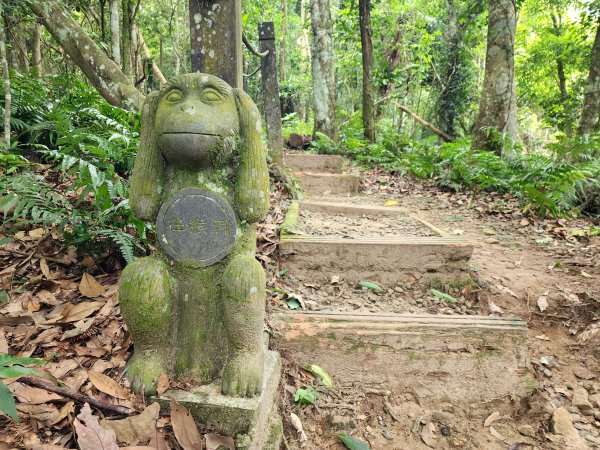 五指山橫向登山步道×猴洞步道一線天3060554