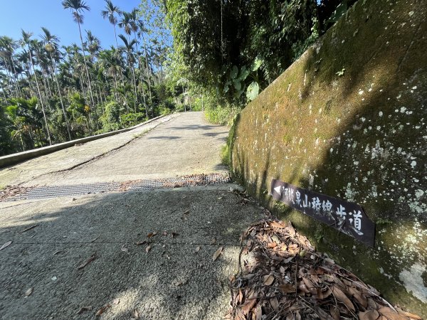 [嘉遊好步道．來嘉走走-08/10] 2024_1013 阿拔泉山稜線步道2627526