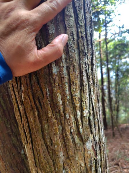 守關山南峰 守關山 守城大山2919116