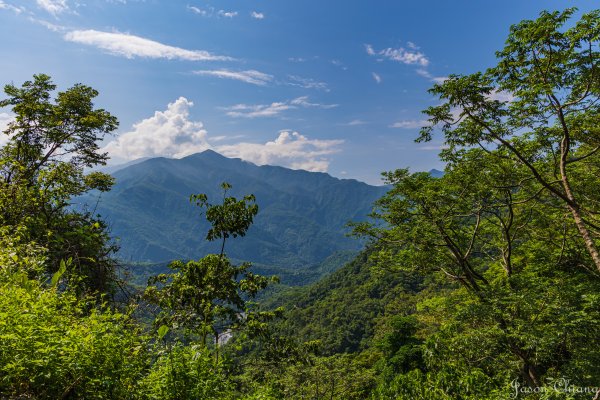 [高雄]網子山、鳴海下山、鳴海山2585489