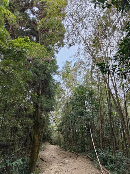 2023.12.30 雲嘉大尖山2840433