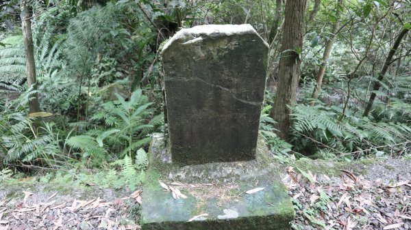 獵貍尖步道連走烏塗溪步道登山健行趣(淡蘭南路TK3-6&TK3-5&TK3-4)2404529