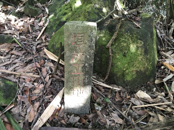 關仔嶺大凍山步道走曾文水庫O型1611855