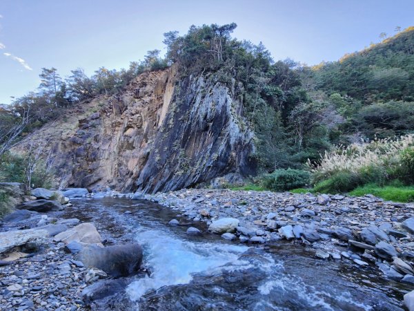 【中級山縱走】羅馬縱走，走進神木的夢幻童話森林世界2943269